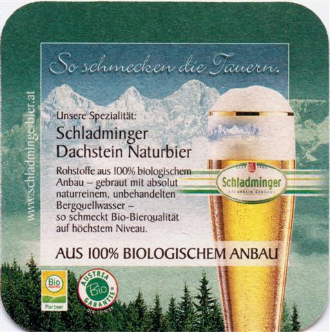 schladming st-a schladminger quad 2b (185-dachstein naturbier)